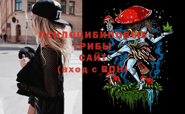 a pvp Заволжск