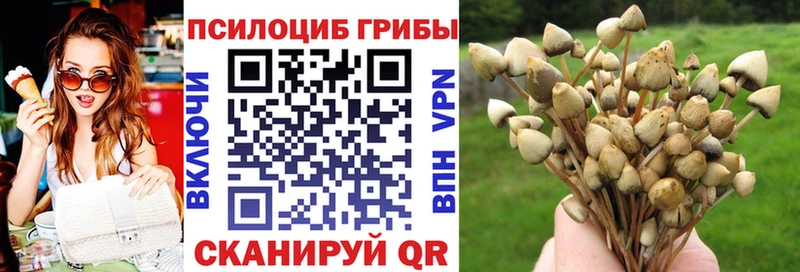 Купить  Кемь  Псилоцибиновые грибы прущие грибы 